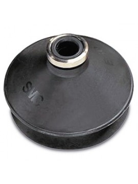 ZP06BS SMC 00047624
